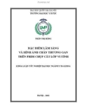 Khóa luận tốt nghiệp: Đặc điểm lâm sàng và hình ảnh chấn thương gan trên phim chụp cắt lớp vi tính