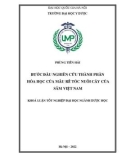 Khóa luận tốt nghiệp: Bước đầu nghiên cứu thành phần hóa học của mẫu rễ tóc nuôi cấy của Sâm Việt Nam