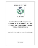 Khóa luận tốt nghiệp: Nghiên cứu đặc điểm thực vật và đánh giá sơ bộ thành phần hóa học của loài Leea indica (Burm.f.) Merr. thu hái ở tỉnh Đồng Nai