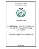 Khóa luận tốt nghiệp: Nghiên cứu độ ổn định của cám gạo sau khi xử lý bằng công nghệ sấy vi sóng