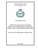 Khóa luận tốt nghiệp: Nghiên cứu nồng độ đáy Tacrolimus trong máu trên bệnh nhân sau ghép thận tại Khoa Thận – Tiết niệu, Bệnh viện Bạch Mai