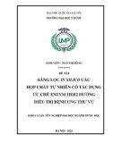 Khóa luận tốt nghiệp: Sàng lọc in silico các hợp chất trong tự nhiên theo tác dụng ức chế enzym HER2 định hướng điều trị ung thư vú