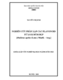 Khóa luận tốt nghiệp ngành Dược học: Nghiên cứu phân lập các hợp chất flavonoid từ loài Bùm bụp [Mallotus apelta (Lour.) Muell. –Arg.]