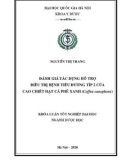 Khóa luận tốt nghiệp ngành Dược học: Đánh giá tác dụng hỗ trợ điều trị bệnh tiểu đường type 2 của cao chiết hạt cà phê xanh (Coffea canephora)