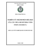 Khóa luận tốt nghiệp ngành Dược học: Nghiên cứu thành phần hóa học của cây Chua me đất hoa vàng (Oxalis corniculata L.)