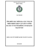 Khóa luận tốt nghiệp ngành Y đa khoa: Tìm hiểu đặc điểm đa giác willis trên phim chụp cắt lớp vi tính đa dãy ở người không có dị dạng mạch não