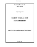 Khóa luận tốt nghiệp ngành Dược học: Nghiên cứu bào chế nano berberin