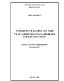 Khóa luận tốt nghiệp đại học ngành Dược học: Tổng quan về đa hình gen IL28B và sự ảnh hưởng của đa hình gen tới đáp ứng thuốc