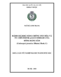 Khóa luận tốt nghiệp đại học ngành Dược học: Đánh giá khả năng chống oxy hóa và ức chế enzym α-glucosidase của Hồng đảng sâm (Codonopsis javanica (Blume) Hook. f.)