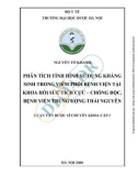 Tóm tắt Luận văn Dược sĩ Chuyên khoa cấp 1: Phân tích tình hình sử dụng kháng sinh trong viêm phổi bệnh viện tại Khoa Hồi sức tích cực - Chống độc, Bệnh viện Trung ương Thái Nguyên