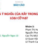 Bài thuyết trình Công nghệ sản xuất dược phẩm: Rây và ý nghĩa của rây trong phân loại cỡ hạt