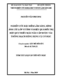 Tóm tắt Luận án Tiến sĩ Y học: Nghiên cứu đặc điểm lâm sàng, hình ảnh cắt lớp vi tính và hiệu quả điều trị đột quỵ thiếu máu não cấp được tái thông mạch bằng dụng cụ cơ học