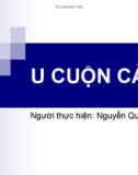 Bài thuyết trình U cuộn cảnh - Nguyễn Quốc Dũng