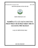 Luận án Tiến sĩ Dược học: Nghiên cứu xây dựng phương pháp phân tích phát hiện thuốc giả bằng phổ Raman