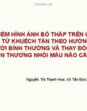 Đề tài nghiên cứu: Đặc điểm hình ảnh bó tháp trên cộng hưởng từ khuếch tán theo hướng (DTI) của người bình thường và thay đổi trong tổn thương nhồi máu não cấp