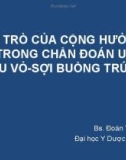 Đề tài nghiên cứu: Vai trò của cộng hưởng từ trong chẩn đoán u sợi và u vỏ sợi buồng trứng