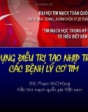 Báo cáo: Sử dụng điều trị tạo nhịp trong các bệnh lý cơ tim