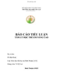 Báo cáo tiểu luận Tâm lý học trẻ em nâng cao: Phân tích sự mở rộng mối quan hệ xã hội trong gia đình của trẻ em