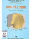 Giáo trình Kinh tế lượng (Chương trình nâng cao): Phần 1