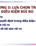 Bài giảng Kinh tế học vi mô nâng cao: Chương 3 - TS. Hoàng Thị Hoài Hương