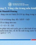 Bài giảng Kinh tế học vĩ mô nâng cao: Chương 5 - GVC.TS. Đào Quyết Thắng