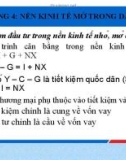 Bài giảng Kinh tế học vĩ mô nâng cao: Chương 4 - GVC.TS. Đào Quyết Thắng