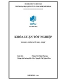 English-Japanses language graduation thesis: A study on common grammatical and lexical errors in writing skill made by the first year english major students at HaiPhong University of Management and Technology and some suggested solutions