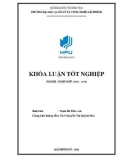 English-English language graduation thesis: A study on studying Speaking skill online for the 2nd year English major students at Hai Phong Management and Technology University