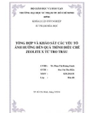 Khoá luận tốt nghiệp Sư phạm Hoá học: Tổng hợp và khảo sát các yếu tố ảnh hưởng đến quá trình điều chế Zeolite X từ tro trấu