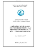 Khoá luận tốt nghiệp: Nghiên cứu khả năng sinh enzyme cellulase của nấm Trichoderma phân lập từ đất vườn tại Bình Dương