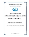 Khoá luận tốt nghiệp: Tìm hiểu vật liệu carbon nano tubes (CNT)