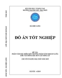 Đồ án tốt nghiệp Địa chất dầu khí: Phân tích đặc điểm môi trường trầm tích Miocen giữa khu vực Đông Bắc đứt gãy Sông Lô