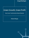 Ebook Green growth, green profit: How green transformation boosts business