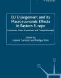 Ebook EU enlargement and its macroeconomic effects in Eastern Europe: Currencies, prices, investment and competitiveness