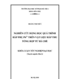 Khóa luận tốt nghiệp đại học: Nghiên cứu động học quá trình hấp phụ Pb2+ trên vật liệu hấp thu tổng hợp từ bã chè