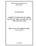 Khóa luận tốt nghiệp đại học: Nghiên cứu động học quá trình hấp phụ Mn2+ trên vật liệu hấp thu tổng hợp từ bã chè