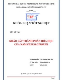 Khóa luận tốt nghiệp: Khảo sát thành phần hóa học của nấm pestalotiopsis