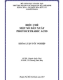 Khóa luận tốt nghiệp: Điều chế một số dẫn xuất protocetraric acid