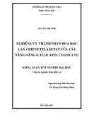 Khóa luận tốt nghiệp đại học: Nghiên cứu thành phần hóa học cặn chiết etylaxetat của cây Nàng nàng (Callicarpa candicans)