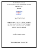 Khoá luận tốt nghiệp: Tổng hợp và khảo sát hoạt tính quang xúc tác của các vật liệu spinel ZnFe2O4, NiFe2O4