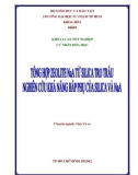 Khoá luân tốt nghiệp cử nhân hoá học: Tổng hợp zeolite NaA từ silica tro trấu, nghiên cứu khả năng hấp phụ của silica và NaA