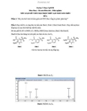 Tiểu luận kết thúc học phần Thiết lập chất đối chiếu: Trình tự biện giải một CĐC được tổng hợp hoặc phân lập