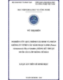 Luận án Tiến sĩ Sinh học: Nghiên cứu quá trình tái sinh và nhân giống in vitro cây sâm Ngọc Linh (Panax vietnamensis Ha et Grushv.) bằng kỹ thuật nuôi cấy lớp mỏng tế bào