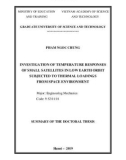 Summary of the doctoral thesis: investigation of temperature responses of small satellites in low earth orbit subjected to thermal loadings from space environment