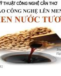 Báo cáo công nghệ lên men: Lên men nước tương