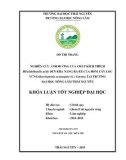 Khóa luận tốt nghiệp: Ảnh hưởng của nồng độ chất kích thích IBA (Idolbutylic acid) đến khả năng ra rễ của hom cây Lộc vừng (Barringtonia acutangula (L.) Gaertn) tại Trường Đại học Nông Lâm Thái Nguyên