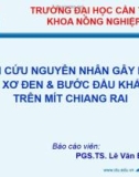 Báo cáo: Nghiên cứu nguyên nhân gây ra hiện tượng xơ đen và bước đầu khắc phục trên mít chiang rai