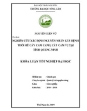 Khóa luận tốt nghiệp Đại học: Nghiên cứu xác định nguyên nhân gây bệnh thối rễ cây cam canh, cây cam V2 tại tỉnh Quảng Ninh