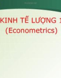 Bài giảng Kinh tế lượng 1: Chương 1 - Phùng Thị Thu Hà