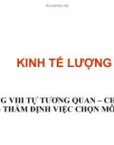 Bài giảng Kinh tế lượng 1: Chương 8 - Phùng Thị Thu Hà